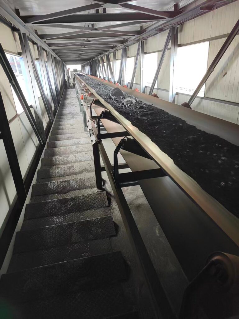 Belt Conveyor image 6