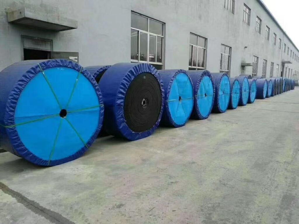 Nylon Conveyor Belt image 1